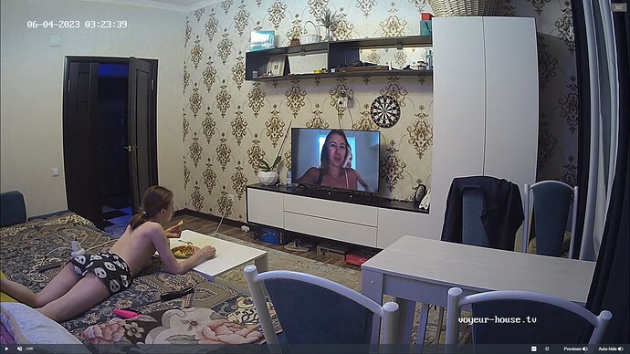 Ashampoo_Snap_samedi 3 juin 2023_22h25m21s_006_Living room camera at Kelys reallifecam apartment at Voyeur House TV (cam14) - Google Chrome