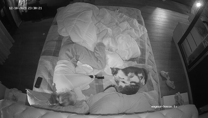 realm43-cam17-1702247578