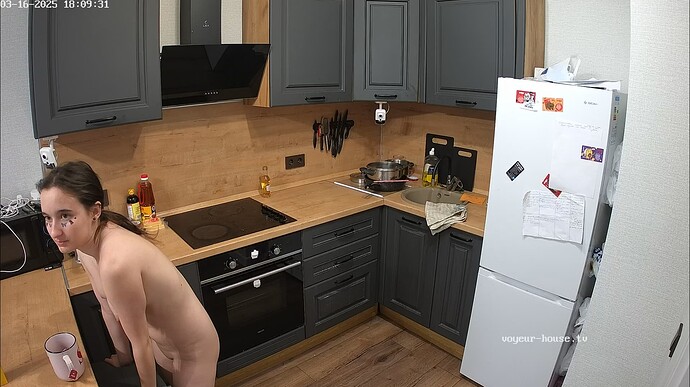 Ashampoo_Snap_dimanche 16 mars 2025_16h9m52s_004_Kitchen camera at Raslan & Ballerina reallifecam apartment at Voyeur House TV (cam11) - Google Chrome