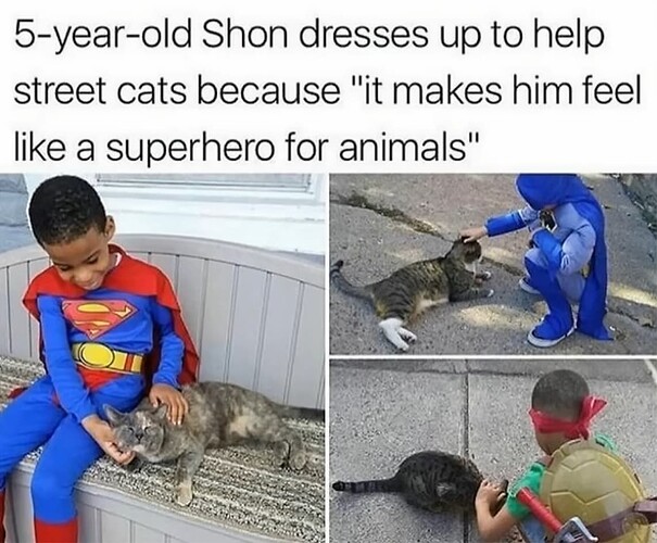 Animal Hero