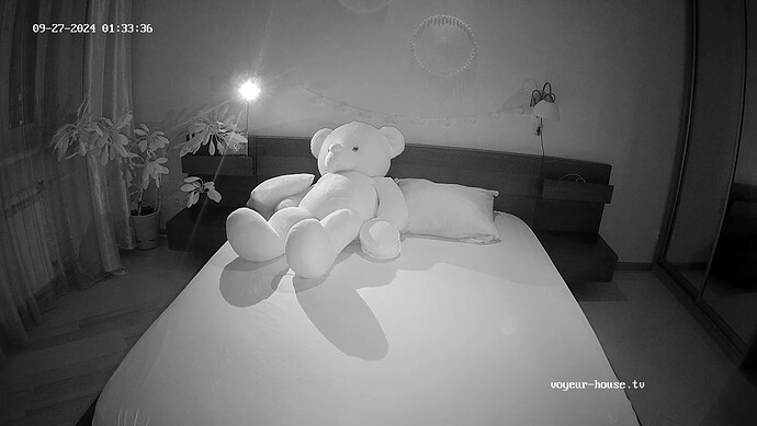 realm37-cam18-1727390052