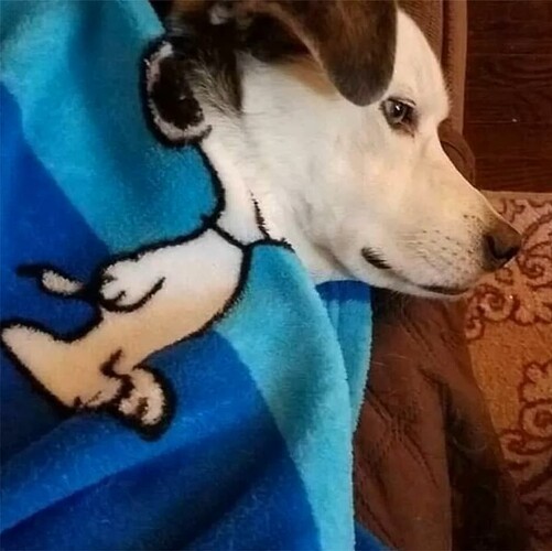 Snoopy