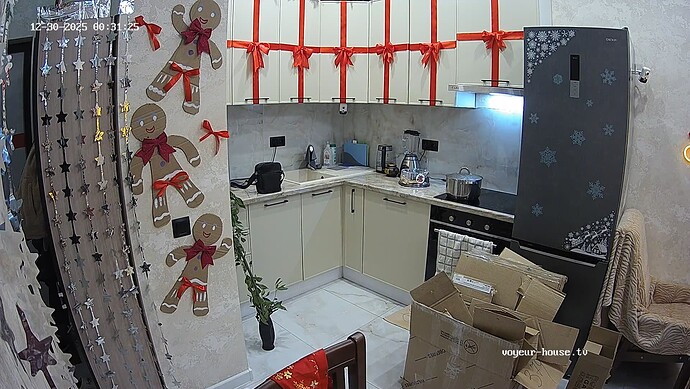 GeliRitalina-20251229-02