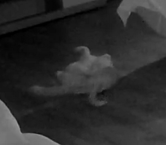 Struggles for the throne 1a