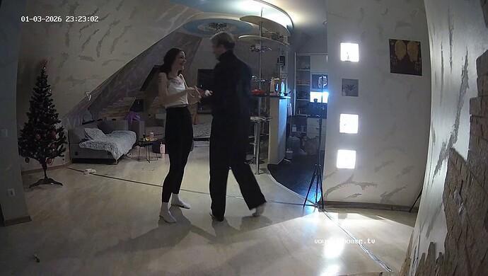 realm8-cam14-1767475419