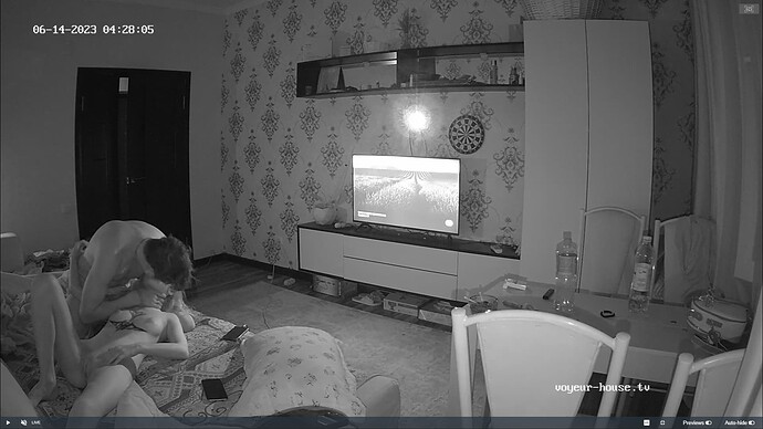 Ashampoo_Snap_mardi 13 juin 2023_23h30m58s_011_Living room camera at Edrym & Roza reallifecam apartment at Voyeur House TV (cam13) - Google Chrome