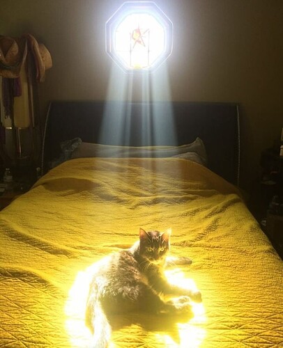 main-qimg-4fa6b619fdcbf2f3528435d660bcb3db