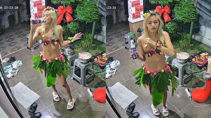 TropicalVilla-20260304-17