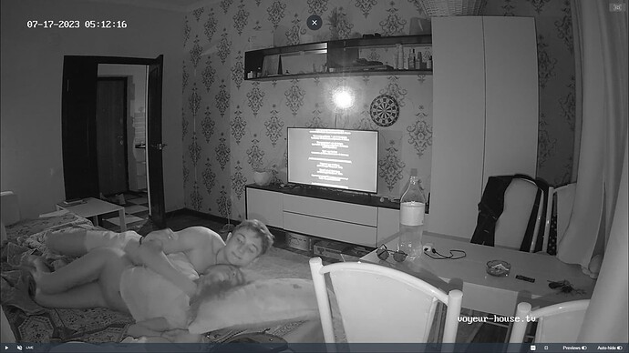 Ashampoo_Snap_lundi 17 juillet 2023_0h12m51s_001_Marica & Shinobu apartment with reallifecam cameras at Voyeur House TV - Google Chrome