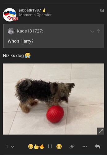 Screenshot_20260225_053005_Chrome