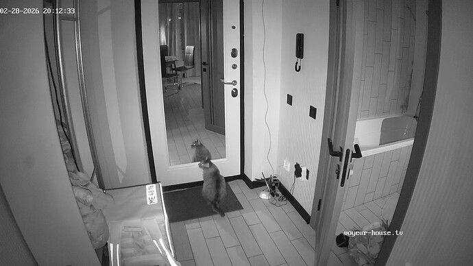 realm42-cam110-1772298791