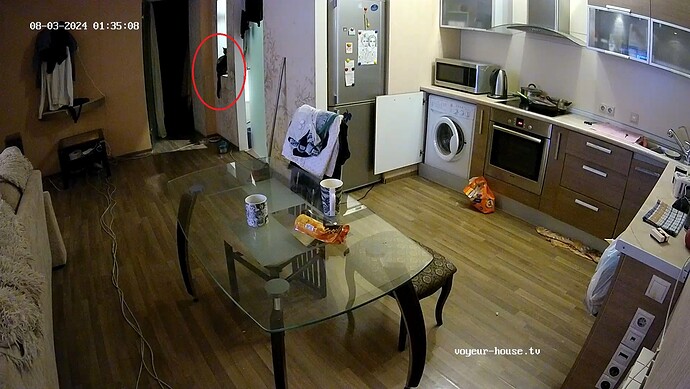 realm69-cam19-1722634739