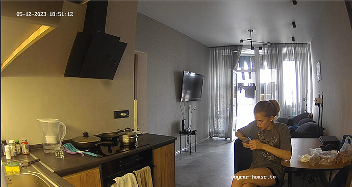 Screenshot 2023-05-12 at 12-49-16 Living room camera at Amelie & Lucas reallifecam apartment at Voyeur House TV (cam13)