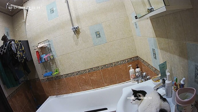 realm60-cam18-1710698987