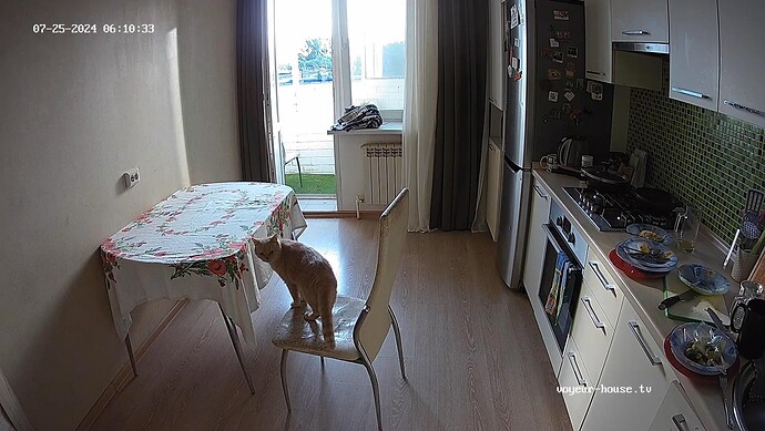 realm62-cam12-1721879104