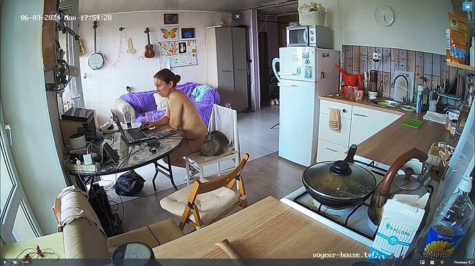 Ashampoo_Snap_lundi 3 juin 2024_16h55m7s_040_Living room camera at Rachel & Ross reallifecam apartment at Voyeur House TV (cam12) - Google Chrome