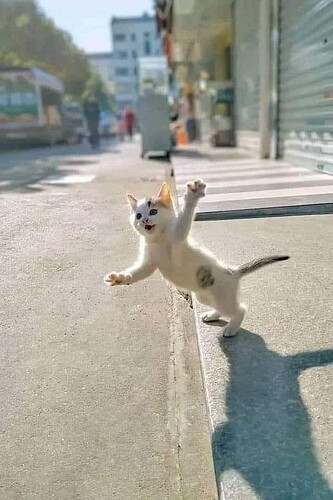 main-qimg-0b832074b4c4de05b1ac23e0a9d3987a