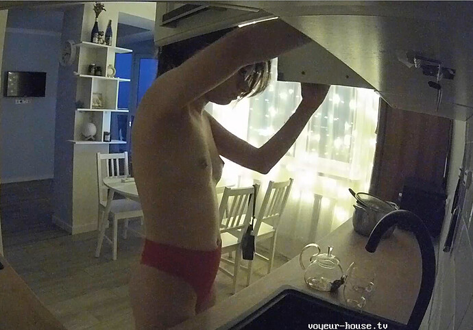 Screenshot 2023-08-15 at 13-29-51 Kitchen camera at Bert & Rissa reallifecam apartment at Voyeur House TV (cam11)