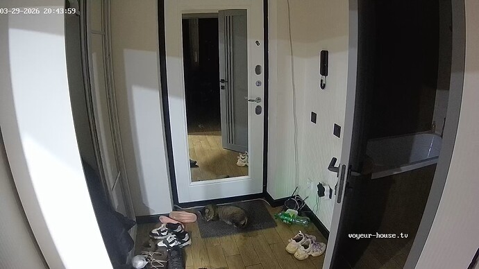 realm42-cam110-1774806278