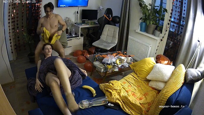 FoxyCarlos-20260217-01