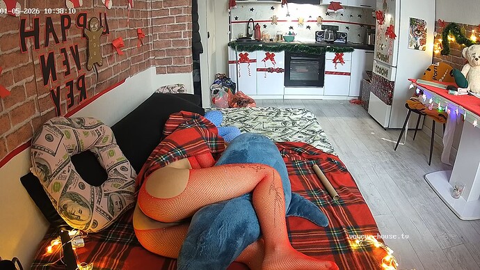 realm5-cam14-1767598734