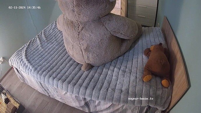 realm62-cam16-1707651379