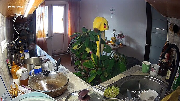 realm37-cam11-1696350703