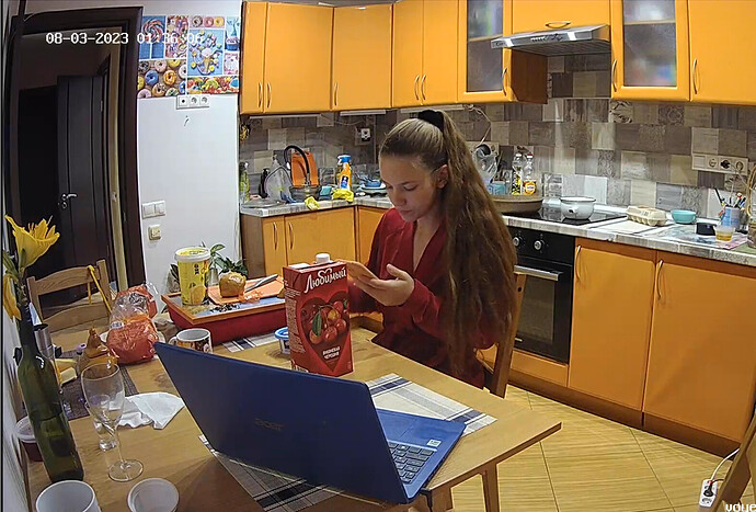 Screenshot 2023-08-02 at 18-46-21 Kitchen camera at Ariela & Sebastian reallifecam apartment at Voyeur House TV (cam12)