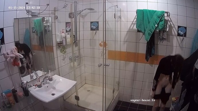 realm52-cam110-1705351796