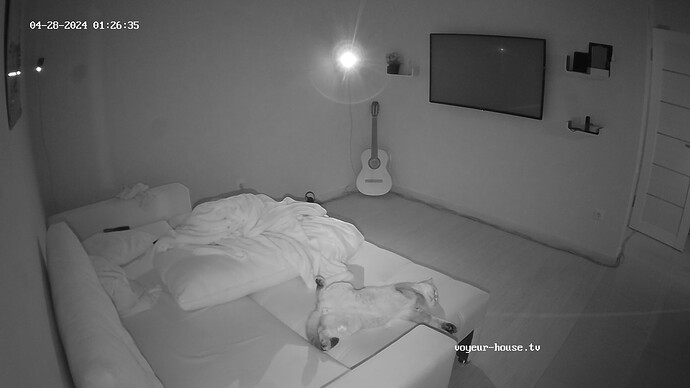 realm33-cam13-1714258583