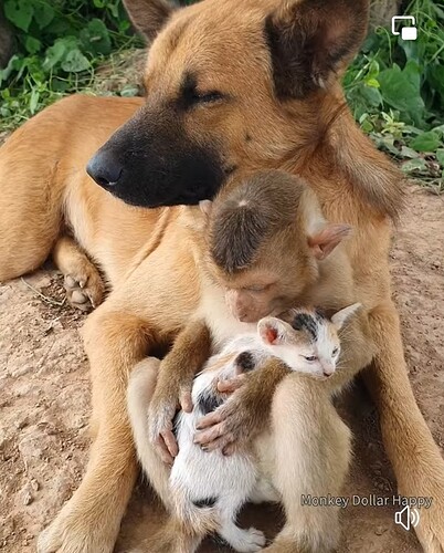 A____ls are so loving