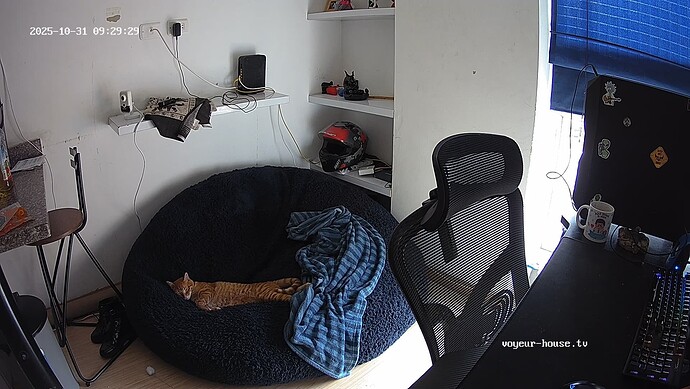 realm44-cam13-1761924637