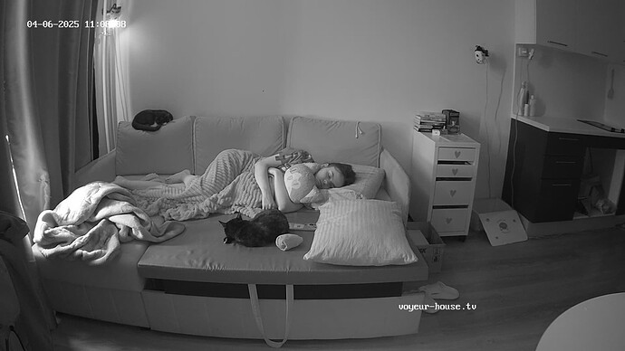 videoframe_364700