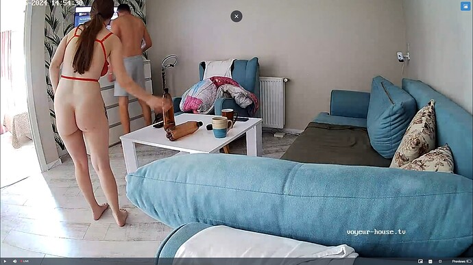 Ashampoo_Snap_dimanche 26 mai 2024_13h55m13s_007_Living room camera at Kristall reallifecam apartment at Voyeur House TV (cam13) - Google Chrome