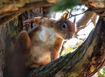 Screen-Shot-2022-03-14-at-2.53.50-PM-1024x750