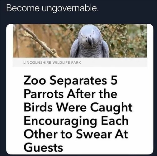 Parrots