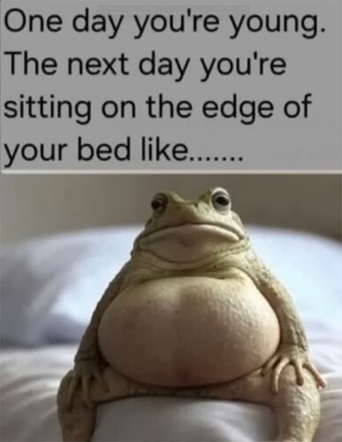 Old Frog