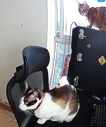 bandicam 2025-12-28 12-50-09-260