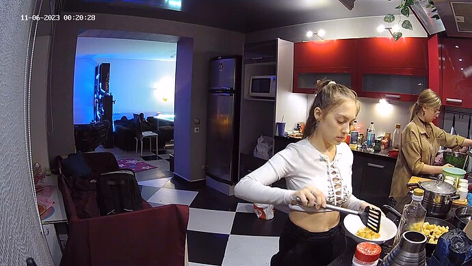 realm55-cam11-1699208470