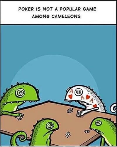 376416033_7392935570722851_7874926002718228805_n