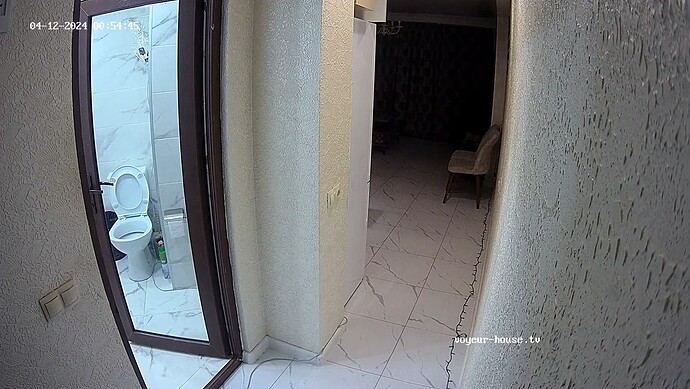 realm65-cam110-1712868899