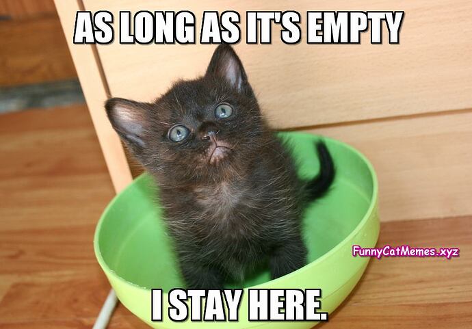 The-empty-bowl-Funny-Cat-Memes