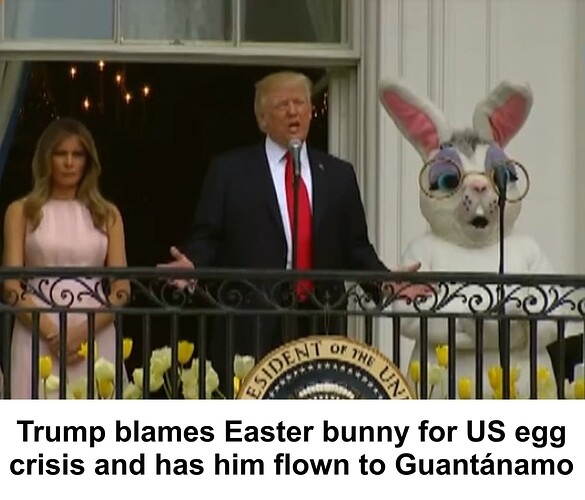 easter bunny