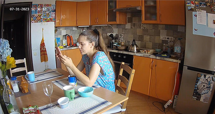 Screenshot 2023-07-31 at 05-34-34 Kitchen camera at Ariela & Sebastian reallifecam apartment at Voyeur House TV (cam12)