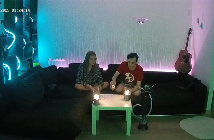 Screenshot 2023-08-16 at 15-28-27 Living room camera at Tonk reallifecam apartment at Voyeur House TV (cam14)