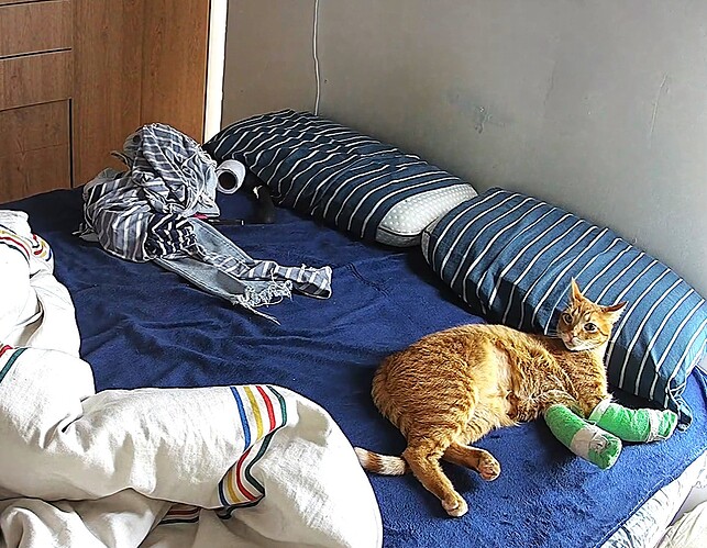 bandicam 2026-03-23 19-31-43-912