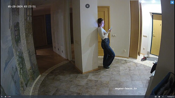 Ashampoo_Snap_lundi 27 mai 2024_23h24m37s_008_Hall camera at Tonk, Alexander & Martha reallifecam apartment at Voyeur House TV (cam127) - Google Chrome