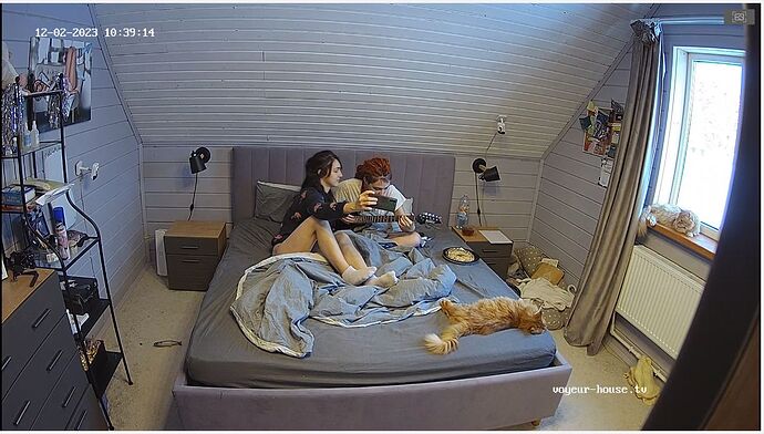 Screenshot_2023_12_02-67