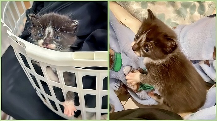 retouch_2024051114415997