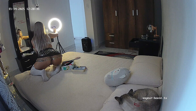 realm121-cam18-1763141779